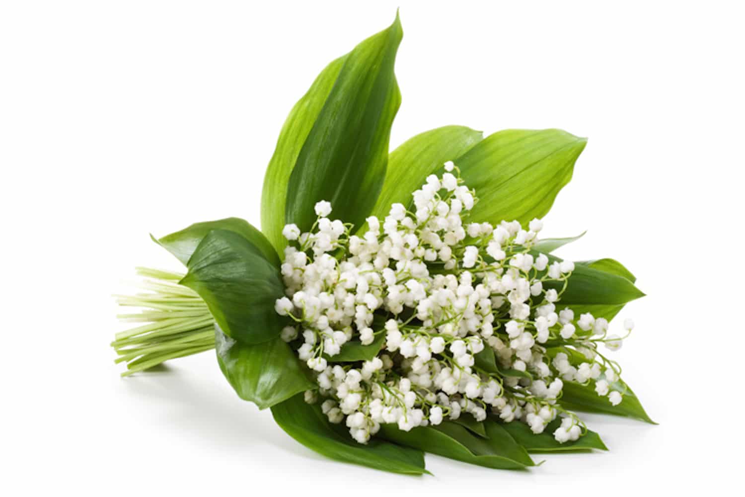 Le Butylphenyl Methylpropional, parfum ou poison